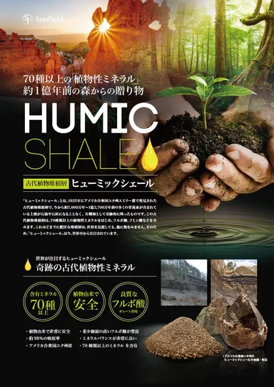 “ヒューミックシェール”とは 1