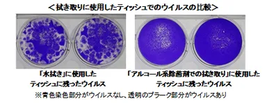 ウイルス染色画像