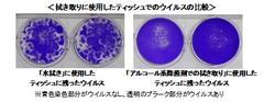 ウイルス染色画像