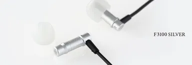 F3100 SILVER