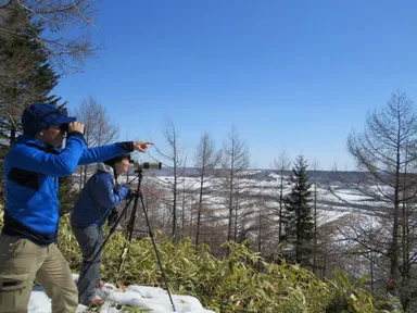 調査活動のサポート