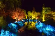 クロード・モネの庭をライトアップ