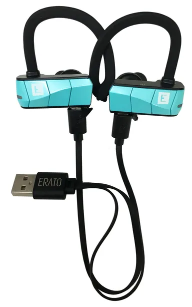 RIO3デュアルUSBケーブル画像