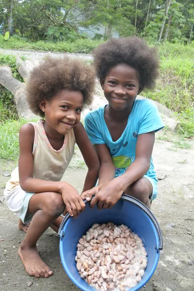 カカオ現地イメージ1