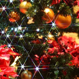 パーティーシーズンには華やかなシャンパンが大人気！