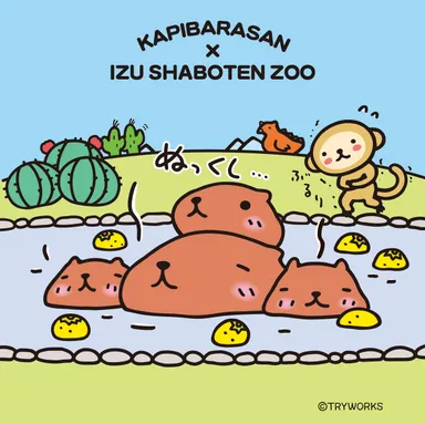 「カピバラさん」×「伊豆シャボテン動物公園」コラボレーション　イメージ画像