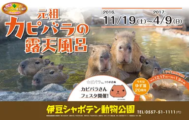 『カピバラさんフェスタ』企画「元祖カピバラの露天風呂」