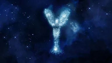 The Spirit of Ecstasy