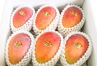 「今帰仁マンゴー」箱詰めイメージ