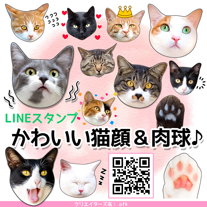 かわいくてリアルな猫のメッセージが届く Lineスタンプシリーズに かわいい猫顔 肉球 登場 有限会社オフィスケーのプレスリリース