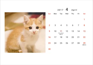 サンプル画像 3