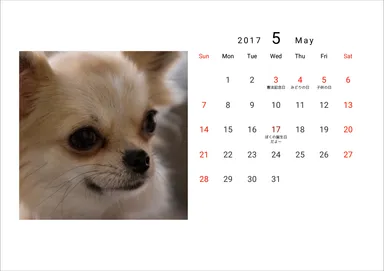 サンプル画像 4