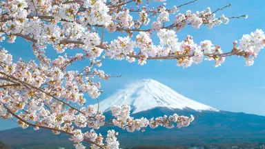 ビジュアルイメージ