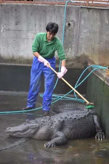 過去に実施した大掃除の様子2