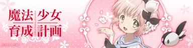 イメージ『魔法少女育成計画』