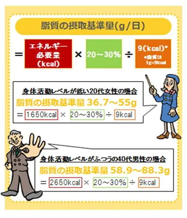 脂質の摂取基準量