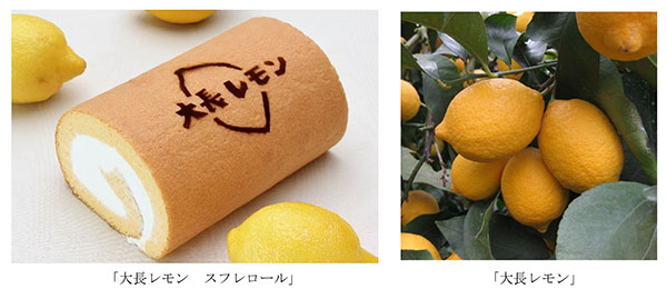 広島県呉市 ふるさと納税 大長レモンで作ったはちみつレモン570g×6本 加工食品 オンラインショッピング