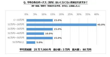 今年の冬のボーナス(賞与)はいくらぐらい支給されますか？