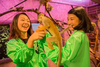 リスザルと触れ合えます