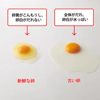 新鮮な卵の見分け方
