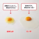 新鮮な卵の見分け方