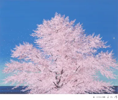 千住 博画伯が描く知覧の桜「ソメイヨシノ満開」