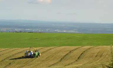 ナイタイ高原牧場