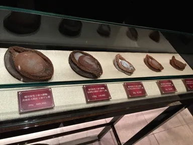 店内には干アワビのサンプルを展示。左の一番大きいサイズだと1個88万円！アワビが“黒のダイヤモンド”と言われるゆえんの価格