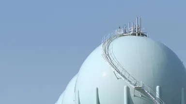 「プラント」篇