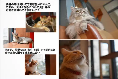 ボードサンプル2