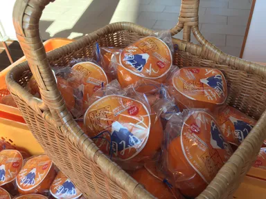 静岡みかん無料プレゼント