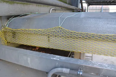 バーコンベヤー(卵を搬送するベルト)に設置した画像