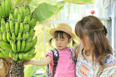 はままつフルーツパーク 1