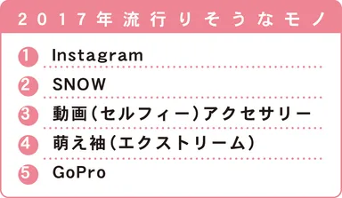 2017年流行りそうなモノ