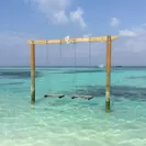 モルディブ - 水上ブランコ