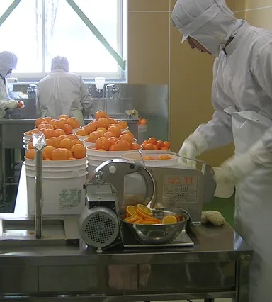 『オレンジスライスジャム(R)』製造風景2