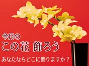 今月のこの花飾ろうツイートキャンペーン＿全国お花屋さんネットワーク「イーフローラ」