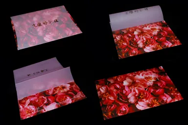 「Le voile」2：ヴェールを外すまでの様子