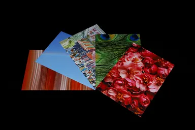 「Le voile」8：ヴェールを外したものの外観