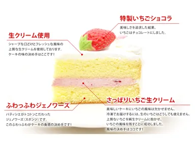 ケーキ断面図