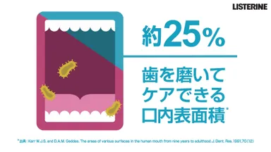 「回答編」イメージ2