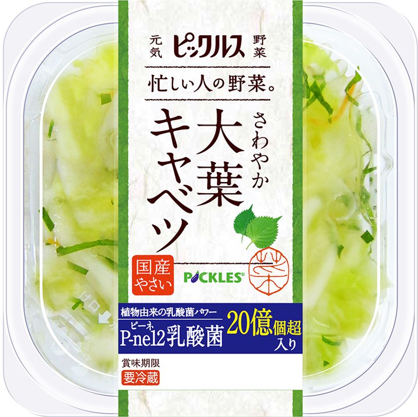 独自の乳酸菌を20億個以上配合した
「大葉キャベツ」2月1日新発売