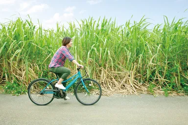ゆっくりサイクリング