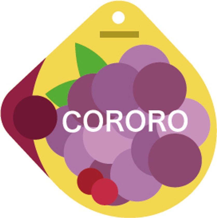 ドラッグストア12月のインバウンド消費　
「コロロ」、「チーズおやつ」がランキングTOP5に登場