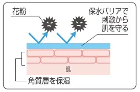 ＜モイスチャーコンプレックス＞の働き