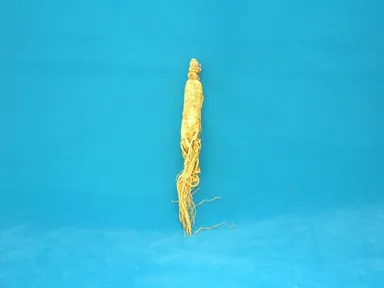 ニンジン抽出液