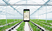 タキイ種苗と農業IoTサービス「みどりクラウド」　販売代理店契約を締結