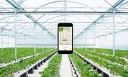 農業IoTサービス「みどりクラウド」イメージ