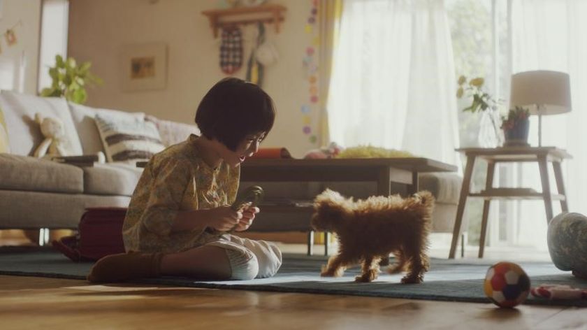 全面リニューアルした「アイムス(TM)」の新CM　
何歳になっても元気なワンちゃんとの幸せを応援する、
アイムス(TM)「お散歩」篇
～新CM・ウェブ限定ムービーを1月29日(日)より公開～