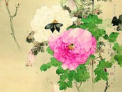 洋風表現を取り入れた、洒脱な花鳥画が特徴　蘇る！孤高の神絵師　渡辺省亭展を3月18日～4月9日まで開催